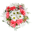 This bouquet-expertly arranged by Hoxton Florist-delivers a radiant expression of spring and renewal, channeling the lively mood of East London's flower stalls. Clusters of crisp, white daisies with lime-green hearts sit at the core, surrounded by plush, coral-pink carnations whose ruffled petals add soft movement and a whisper of exuberance. Tufts of white gypsophila flutter throughout, creating an ethereal, cloud-like texture that echoes the gentle light found drifting through Hoxton's creative studios. Among the blooms, look closely to spot tender alstroemeria buds tinged with purple and deep pink, their quiet anticipation befitting the anticipation of new beginnings. The bouquet is circled by lush greenery-a blend of silvery eucalyptus and deeper green stems-providing balance and subtle fragrance. The overall composition is both tranquil and spirited, crafted to convey joy, gratitude, and heartfelt celebration-ideal as a birthday surprise, a gesture of encouragement, or a centrepiece for gatherings near Shoreditch or along the Regent's Canal. With every detail, this arrangement reflects Hoxton's vibrant energy and the seasoned expertise of its local florists, offering a sense of comfort and optimism that lingers long after delivery.